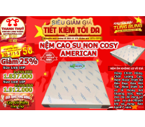 Nệm Cao Su Non Cosy