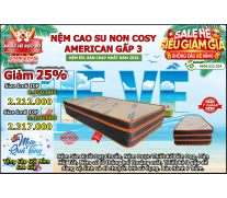 Nệm Cao Su Non Cosy American Gấp 3