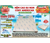 Nệm Cao Su Non Cosy
