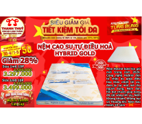 Nệm Foam Điều Hoà Thế Hệ Mới Hybrid Gold