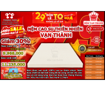 Nệm Cao Su Thiên Nhiên Vạn Thành Standard