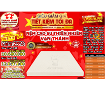 Nệm Cao Su Thiên Nhiên Vạn Thành Standard