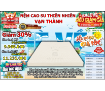 Nệm Cao Su Thiên Nhiên Vạn Thành Standard
