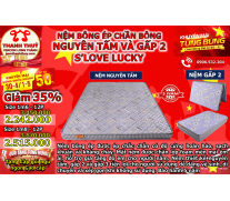 Nệm bông ép chần bông nguyên tấm và gấp 2 S'LOVE LUCKY