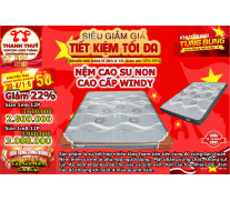 Nệm cao su non cao cấp windy