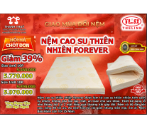 nệm cao su thiên nhiên forever thế linh