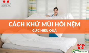 Khử Mùi Khai Nước Tiểu Trên Nệm: Giải Pháp Hiệu Quả