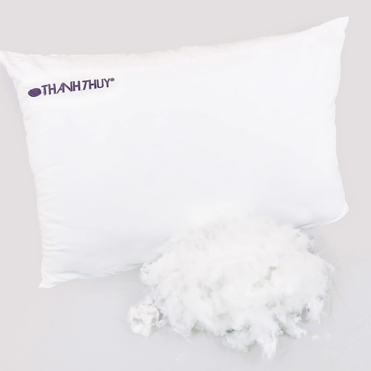 Ruột Gối Nằm Thanh Thuỷ