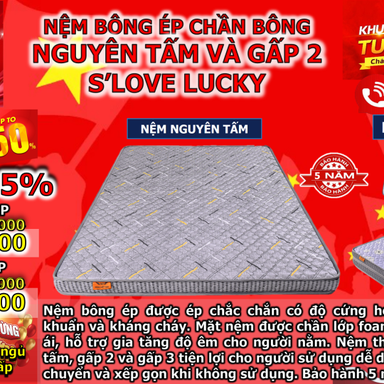 Nệm bông ép chần bông nguyên tấm và gấp 2 S'LOVE LUCKY