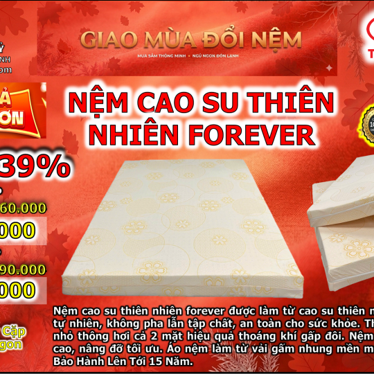 nệm cao su thiên nhiên forever thế linh