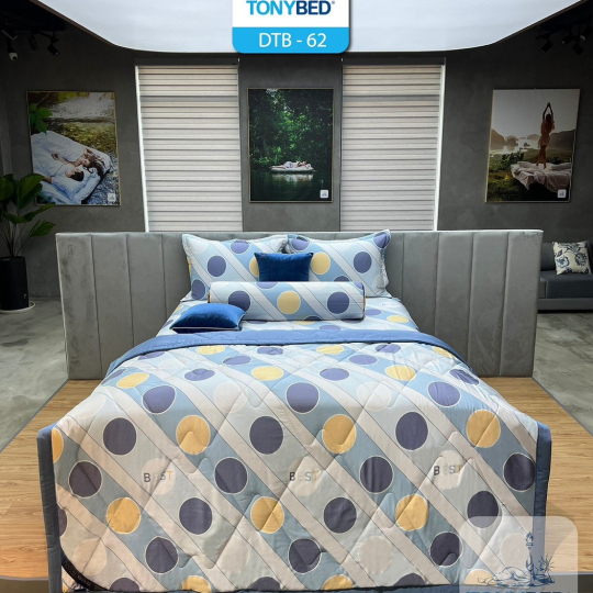 Bộ Ga Dream Tencel Tonybed