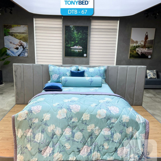 Bộ Ga Dream Tencel Tonybed