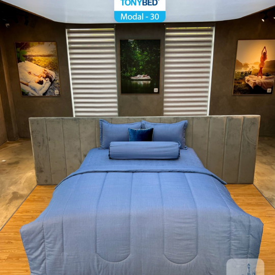 Bộ Ga Modal TonyBed